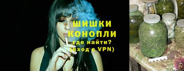 крисы Богородицк