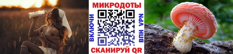 Псилоцибиновые грибы мухоморы купить наркотик Нижний Тагил